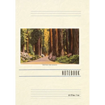Vintage Lined Notebook Greetings from Nepenthe - Paperback