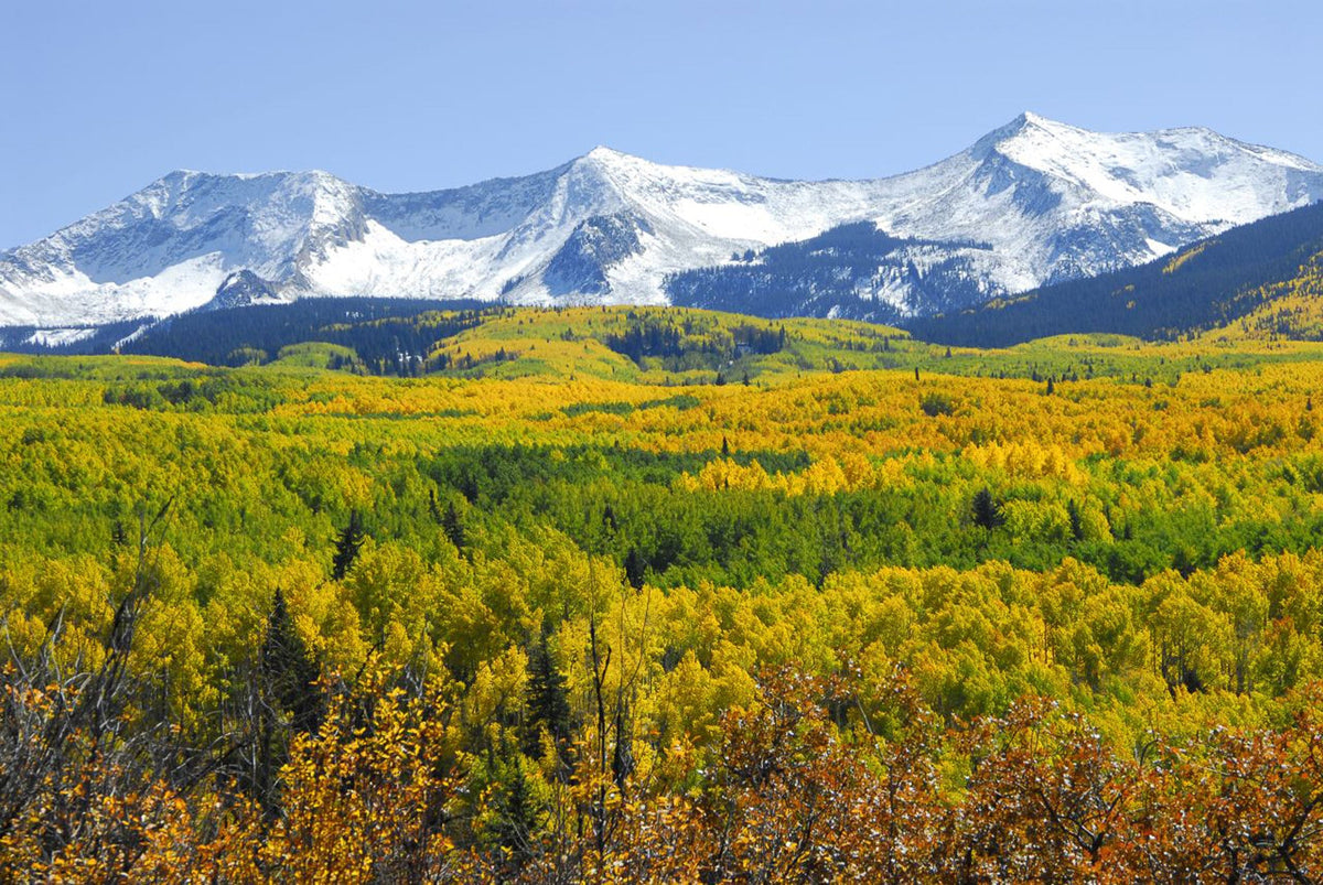 Capture My Colorado: Aspen - Additional Book View 14