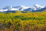 Capture My Colorado: Aspen - Additional Book View 14